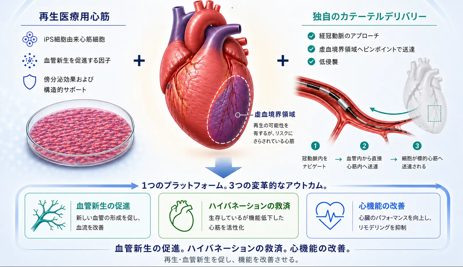 クオリプスの開発事業